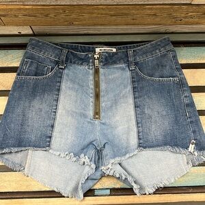 One X One Teaspoon Shorts